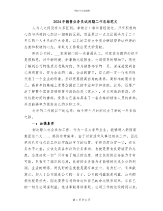 2024年销售业务员试用期工作总结范文