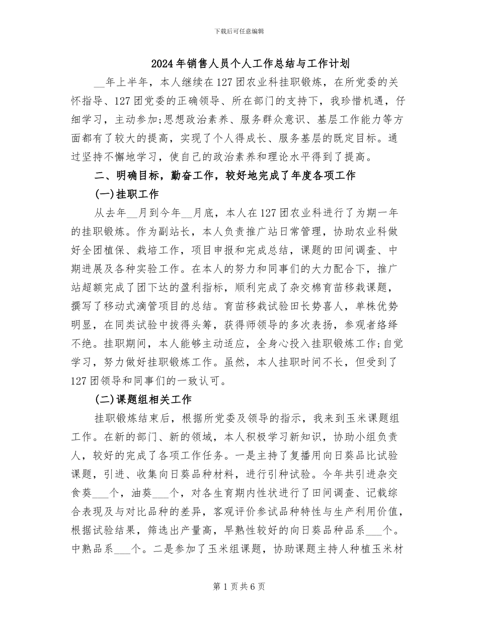 2024年销售人员个人工作总结与工作计划_第1页