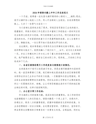 2024年销售内勤上半年工作总结范文