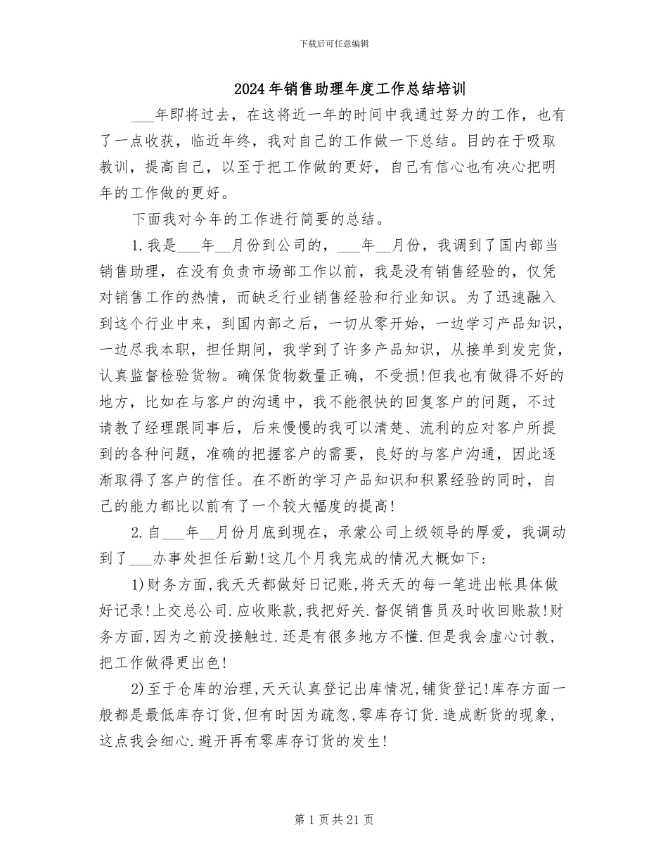 2024年销售助理年度工作总结培训_第1页