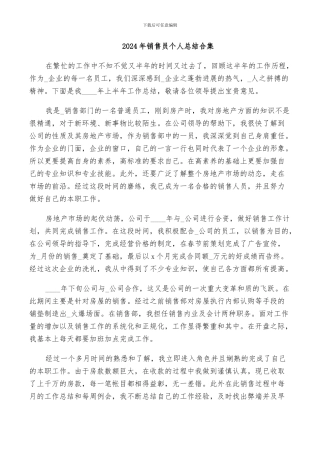 2024年销售员个人总结合集