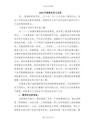 2024年销售员实习总结