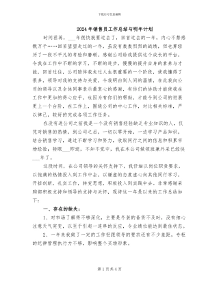 2024年销售员工作总结与明年计划
