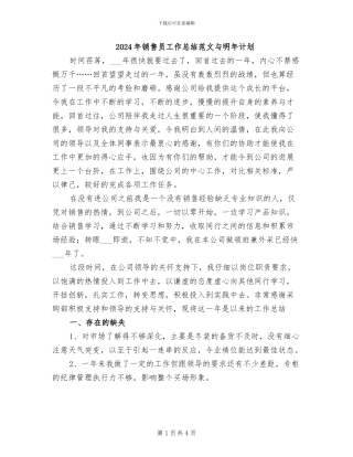 2024年销售员工作总结范文与明年计划