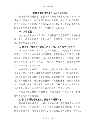 2024年销售员年度个人工作总结范文