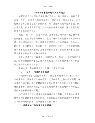 2024年销售员年终个人总结范文