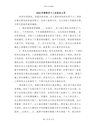2024年销售员个人总结怎么写