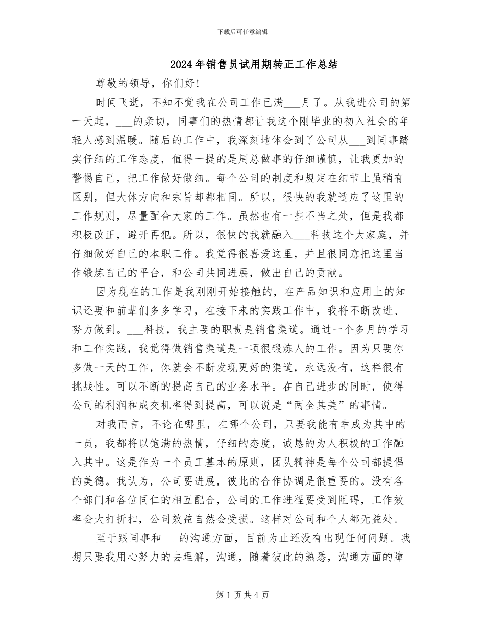 2024年销售员试用期转正工作总结_第1页
