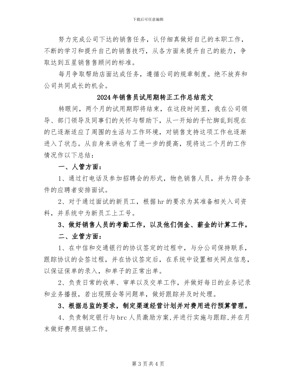2024年销售员试用期转正工作总结与计划_第3页