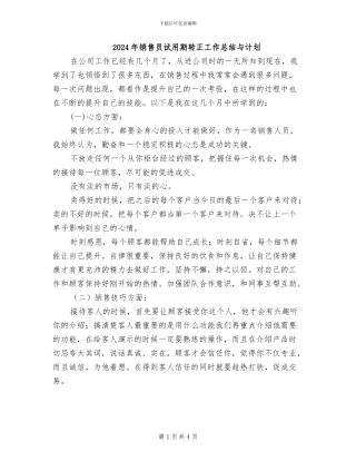 2024年销售员试用期转正工作总结与计划