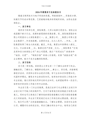 2024年销售实习总结报告五