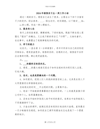 2024年销售实习生一周工作小结