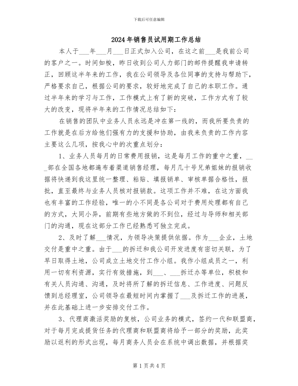 2024年销售员试用期工作总结_第1页