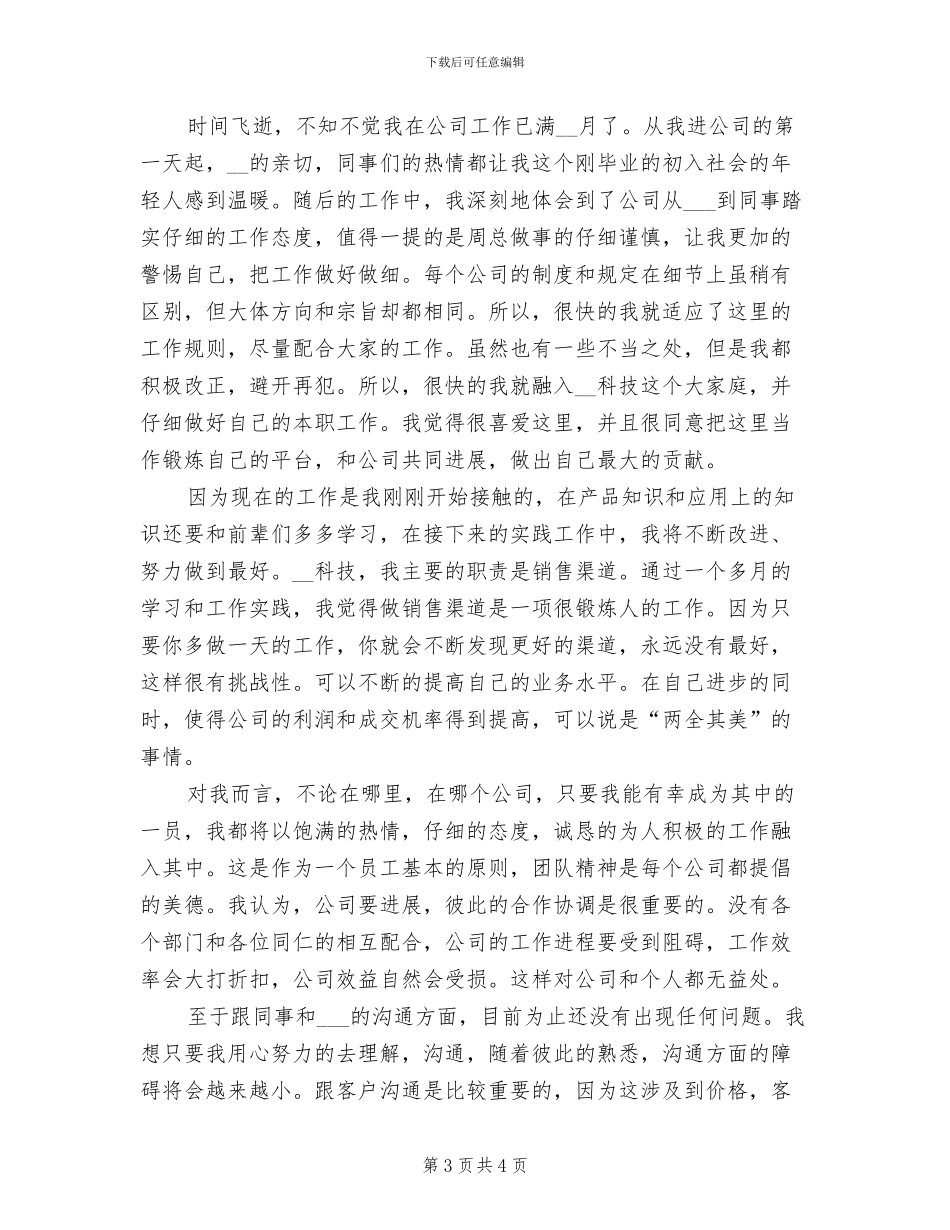 2024年销售员试用期工作总结_第3页