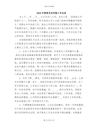 2024年销售员试用期工作总结