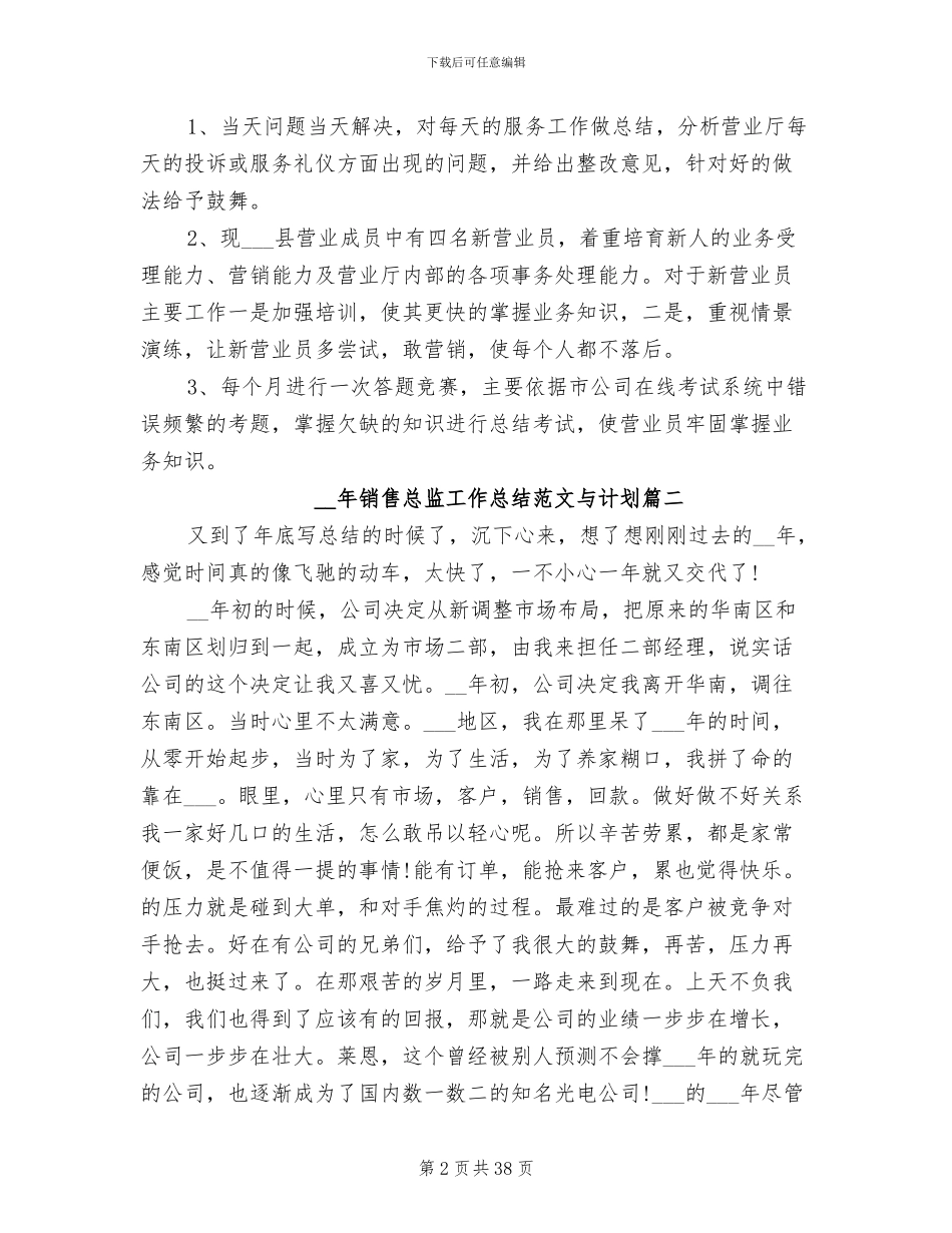 2024年销售总监工作总结与计划_第2页