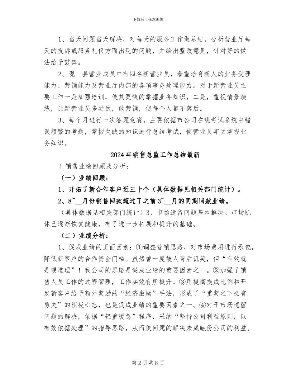 2024年销售总监工作总结报告_第2页