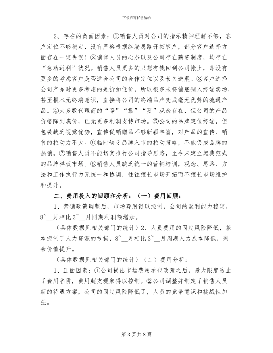 2024年销售总监工作总结报告_第3页