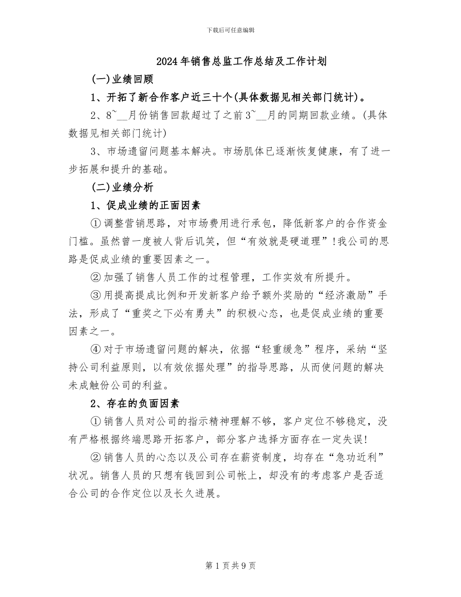 2024年销售总监工作总结及工作计划_第1页