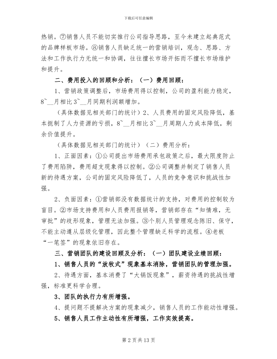 2024年销售总监工作总结最新_第2页