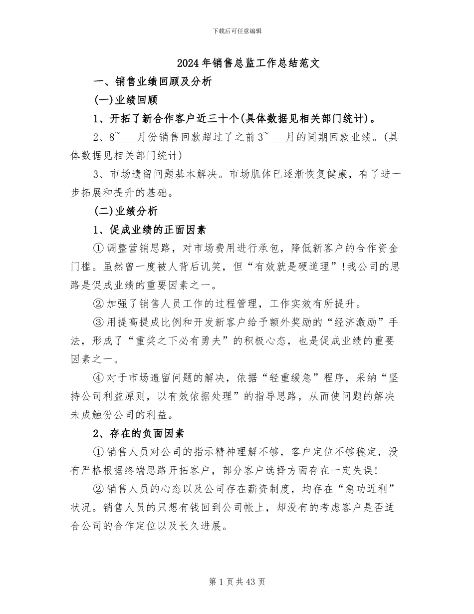 2024年销售总监工作总结范文_第1页