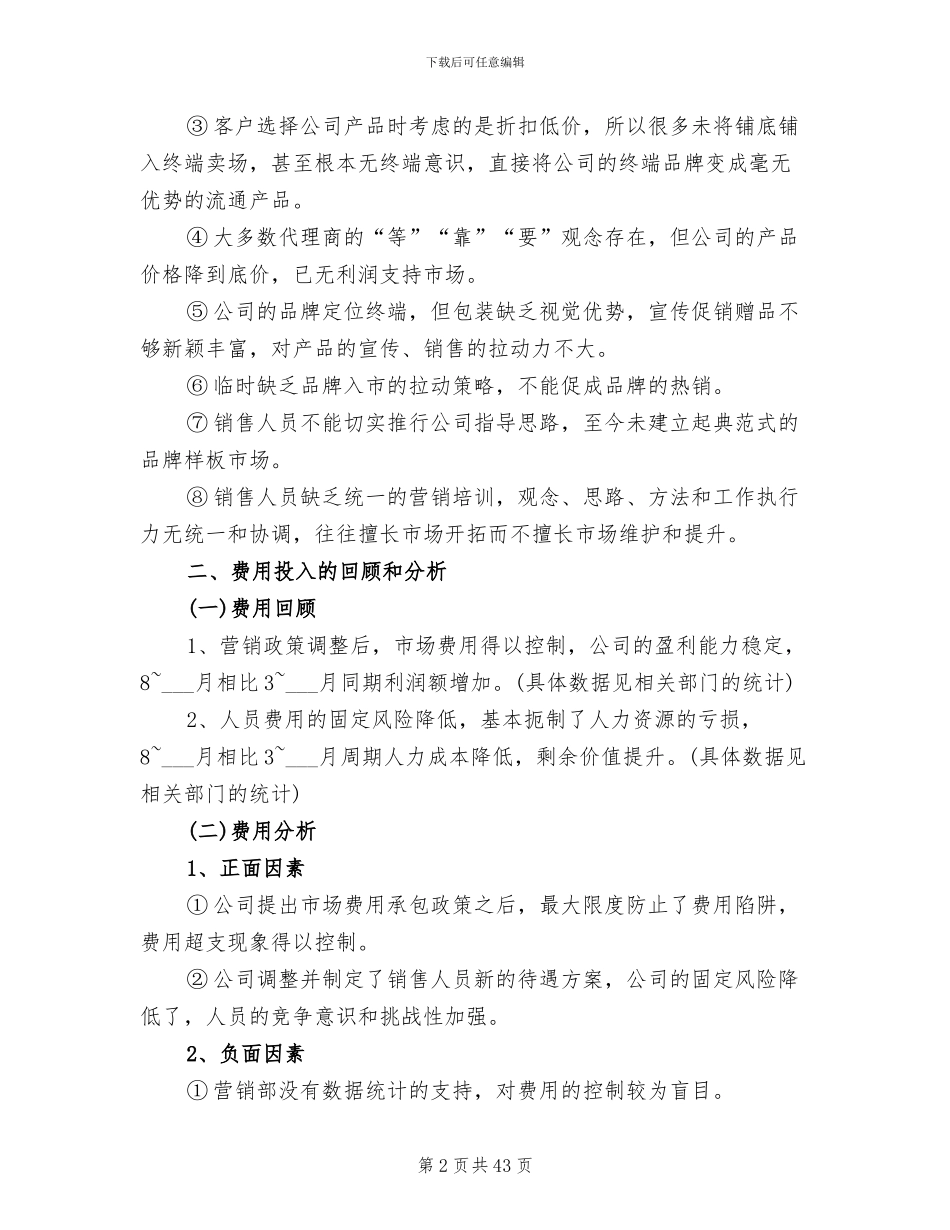 2024年销售总监工作总结范文_第2页