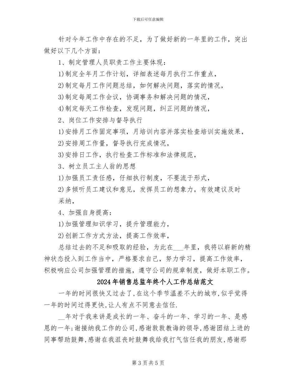 2024年销售总监年终个人工作总结与计划_第3页