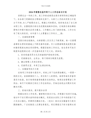 2024年销售总监年终个人工作总结与计划