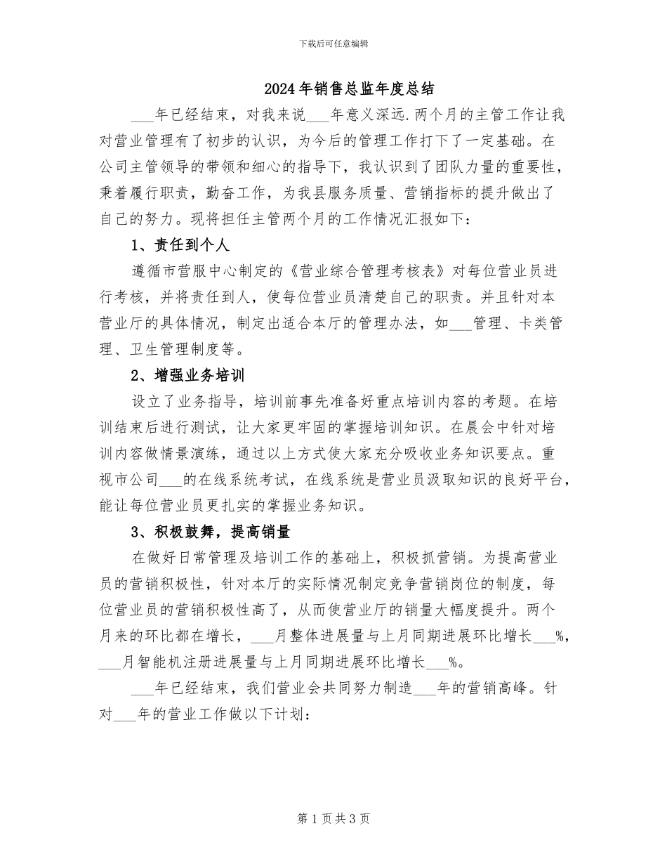 2024年销售总监年度总结_第1页
