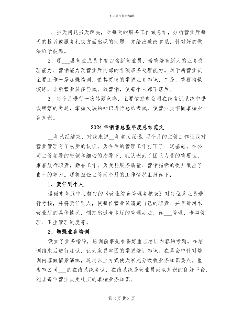 2024年销售总监年度总结_第2页