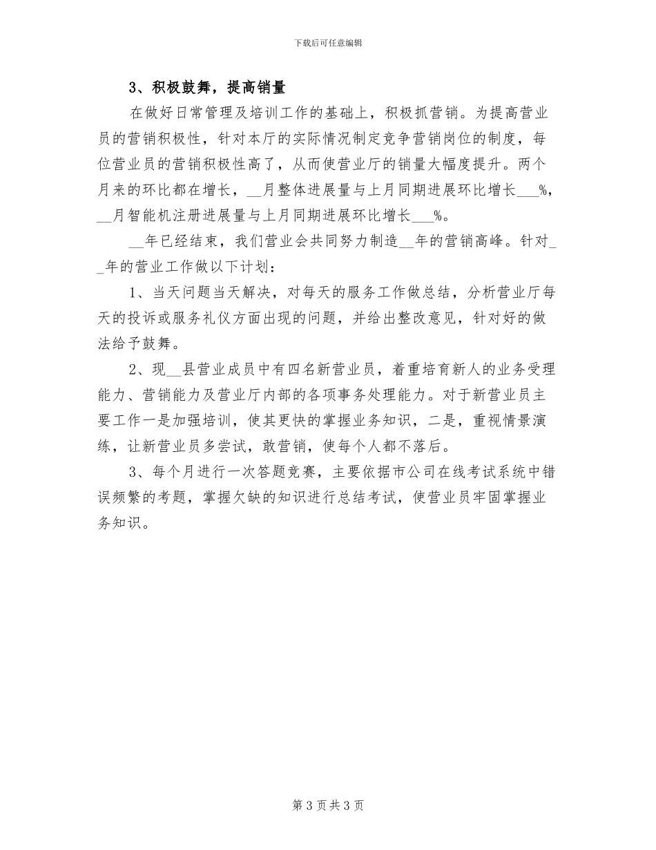 2024年销售总监年度总结_第3页