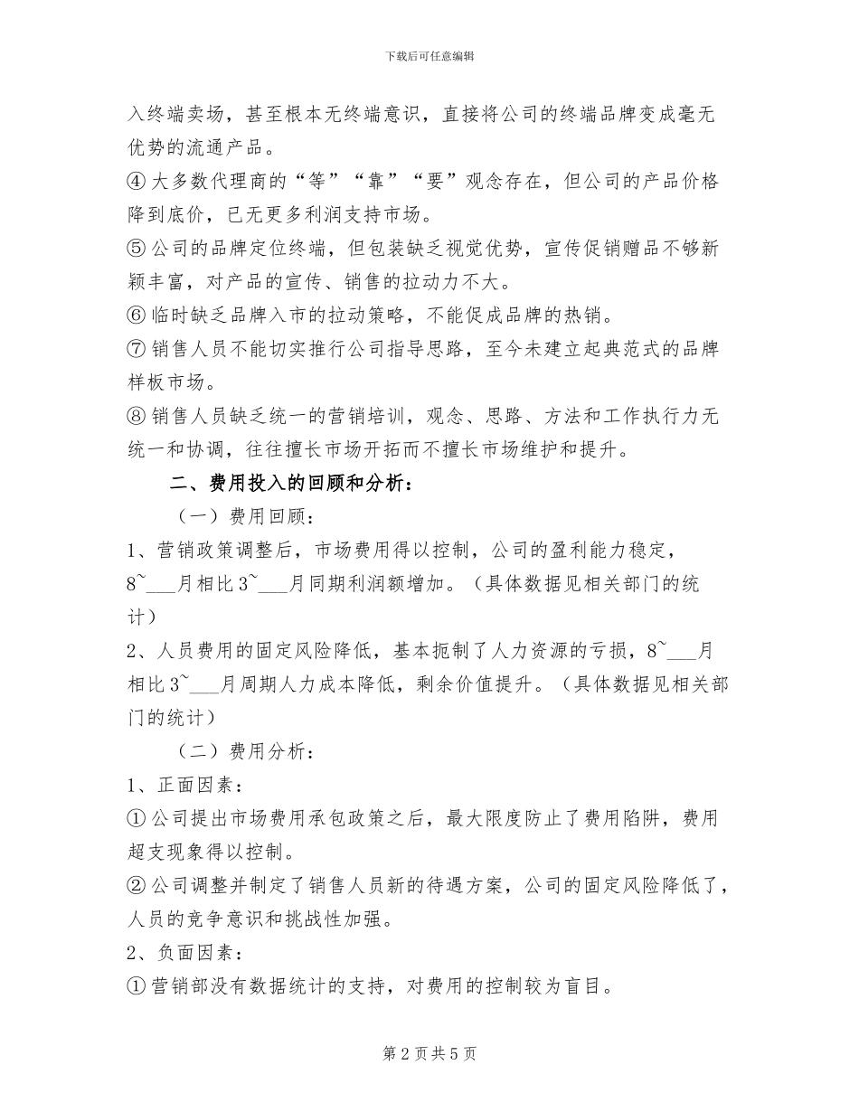 2024年销售总监年终工作总结范文_第2页