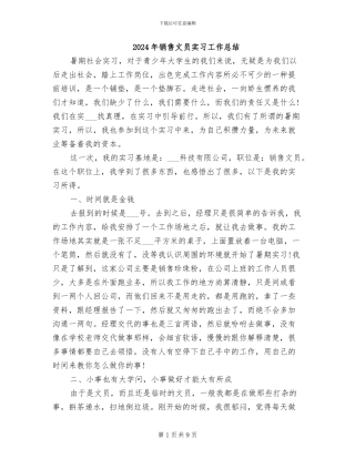 2024年销售文员实习工作总结