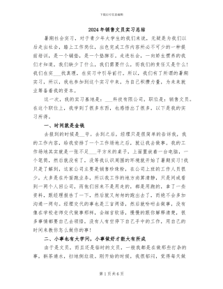2024年销售文员实习总结