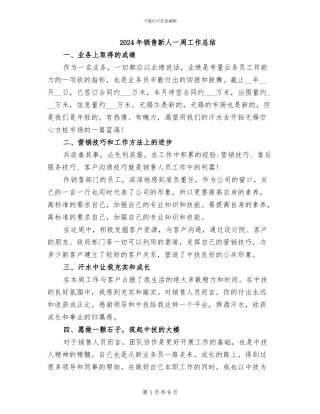 2024年销售新人一周工作总结