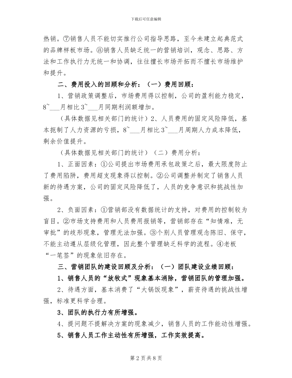 2024年销售总监个人工作小结_第2页