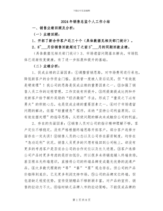 2024年销售总监个人工作小结