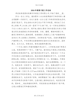2024年销售日报工作总结