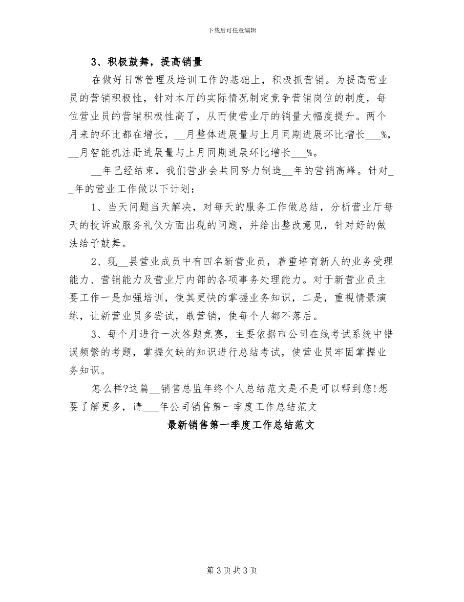 2024年销售总监年终个人总结_第3页