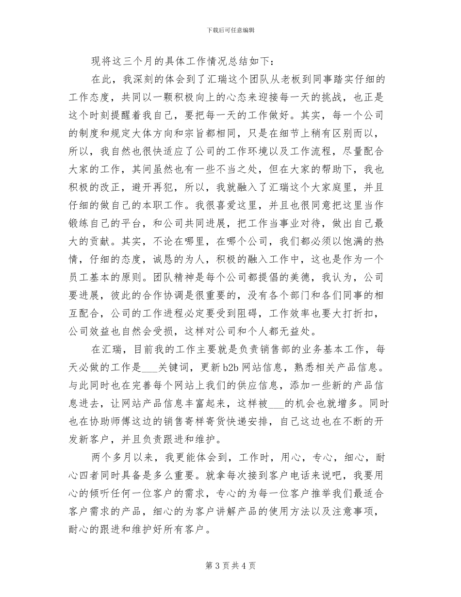 2024年销售试用期转正个人工作总结_第3页