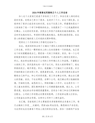 2024年销售试用期转正个人工作总结