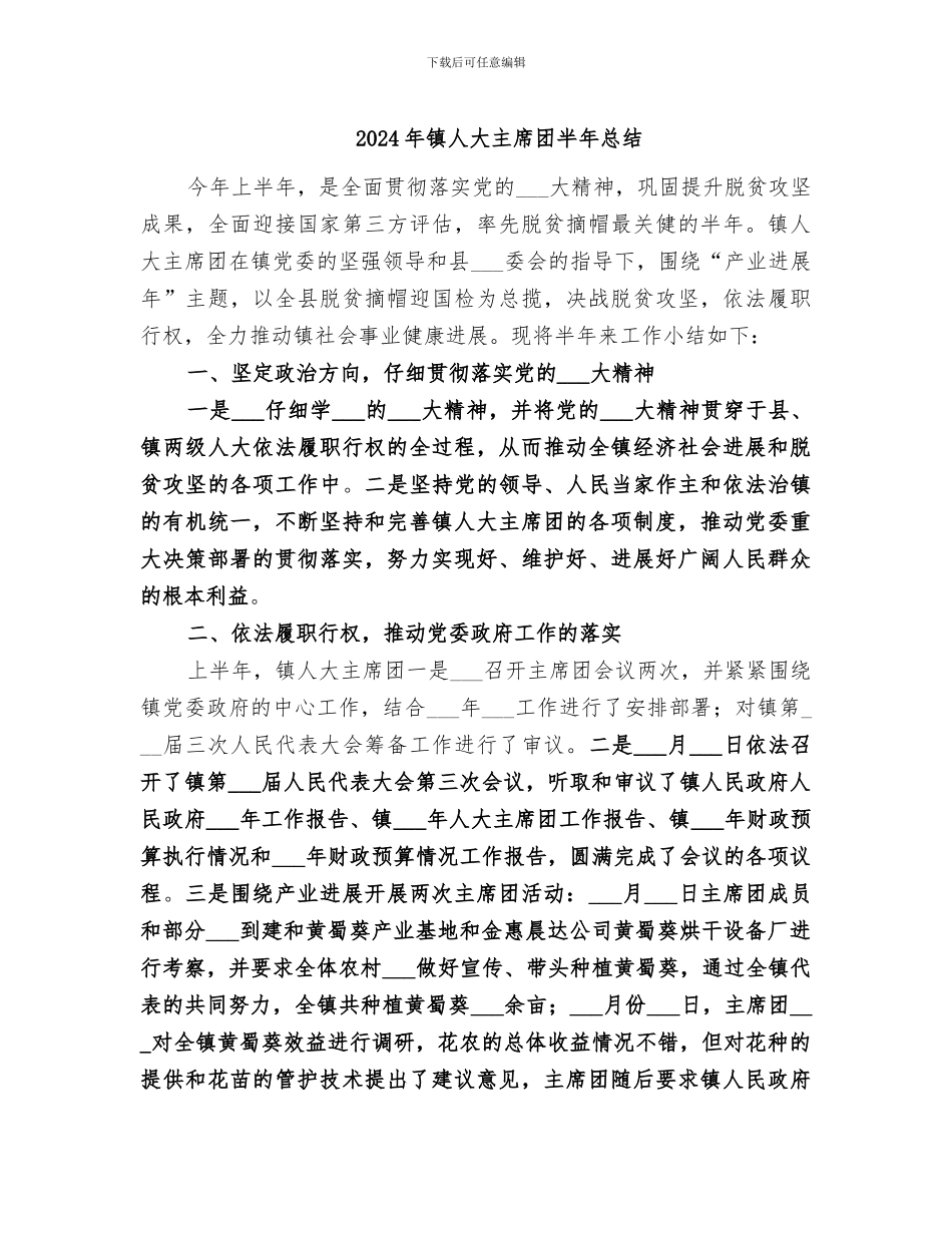 2024年镇人大主席团半年总结_第1页