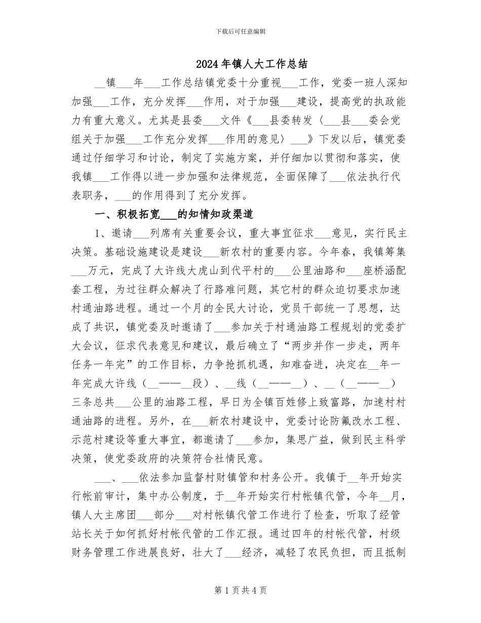 2024年镇人大工作总结_第1页