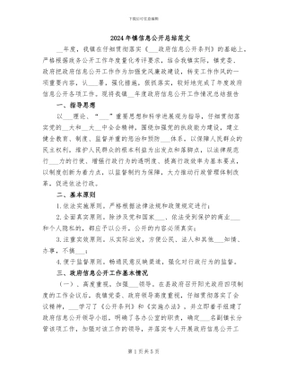 2024年镇信息公开总结范文