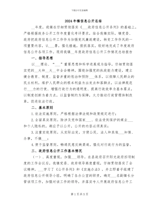 2024年镇信息公开总结