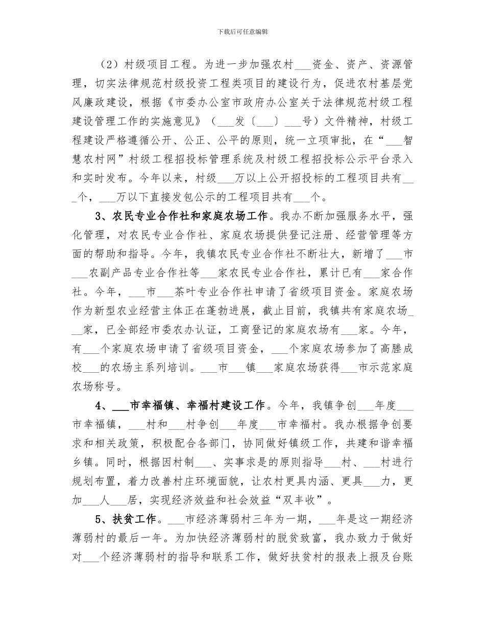 2024年镇农村办工作总结_第2页