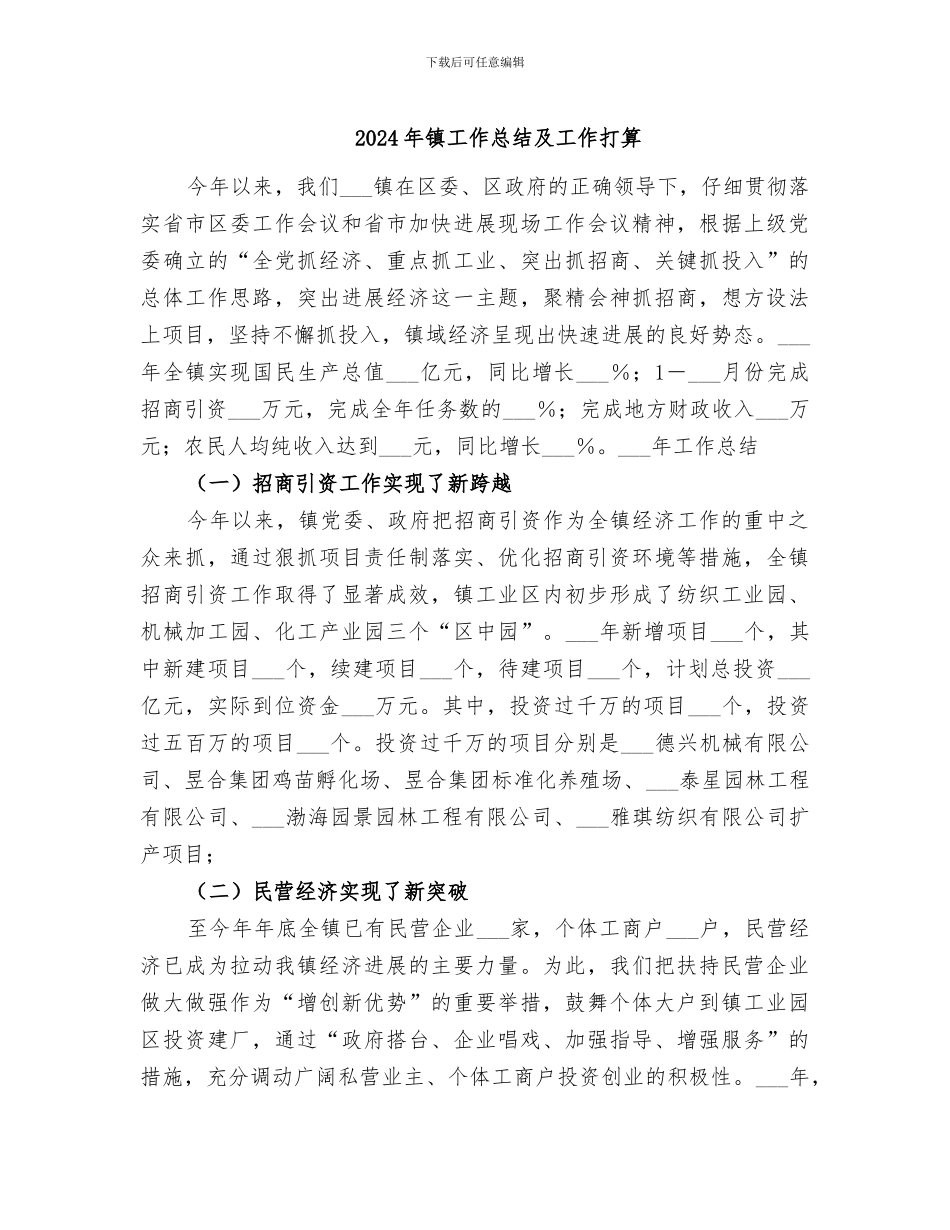 2024年镇工作总结及工作打算_第1页