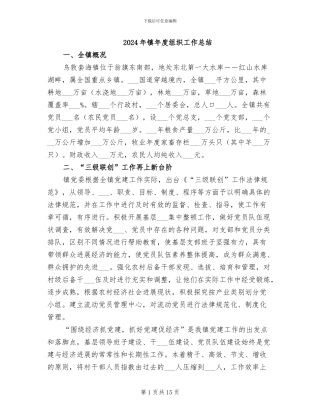 2024年镇年度组织工作总结