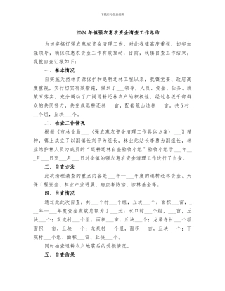 2024年镇强农惠农资金清查工作总结