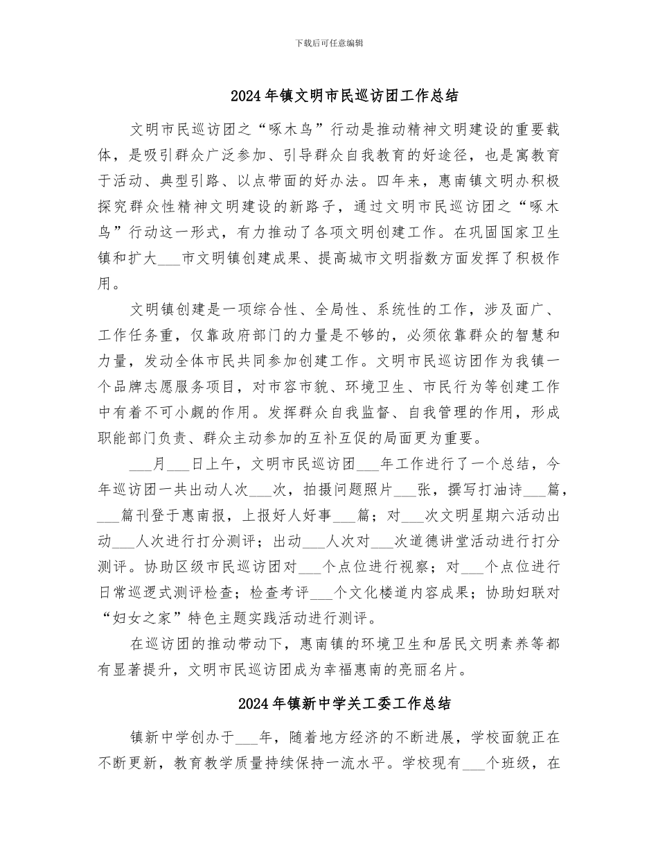 2024年镇文明市民巡访团工作总结_第1页